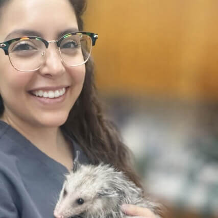 Dr. Arras