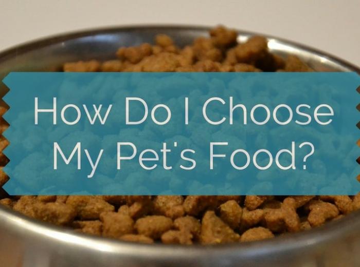 How Do I Choose My Pet's Food?