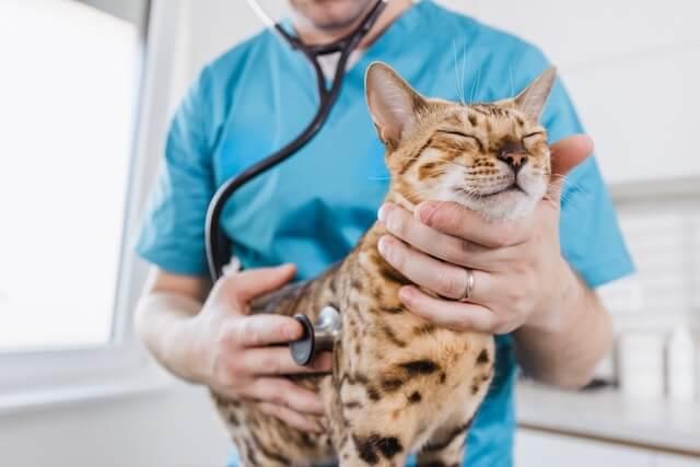 Diagnostic Workups